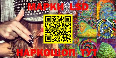 шишки Гатчина