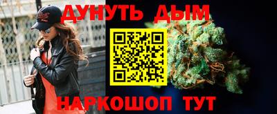 шишки Гатчина