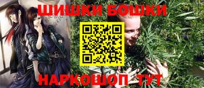 шишки Гатчина
