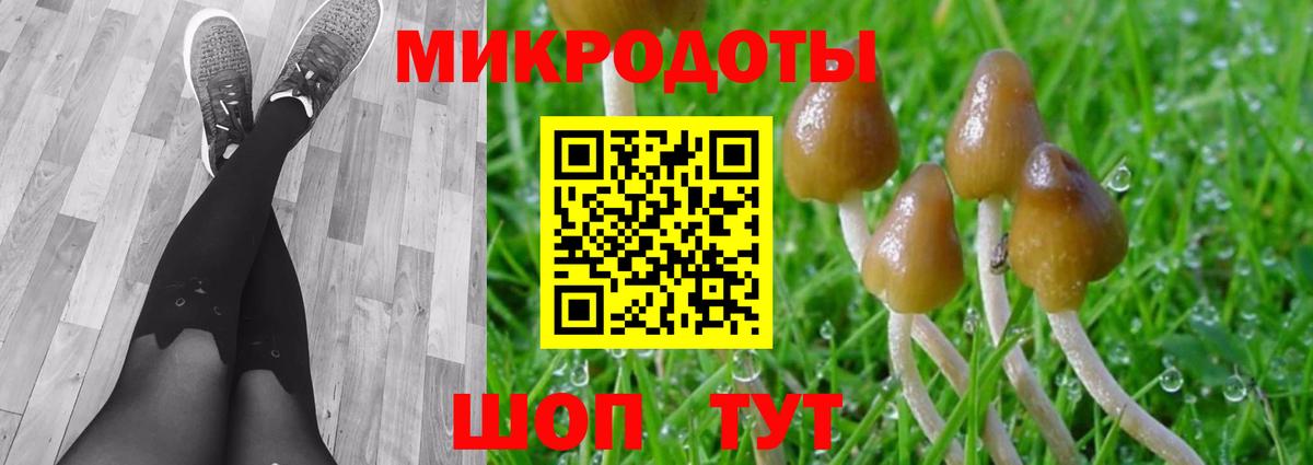 дарнет шоп  Вход с VPN  Подольск  Галлюциногенные грибы Psilocybe  Галлюциногенные грибы MAGIC MUSHROOMS 